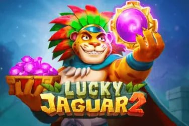 Bingo ဘင်ဂို fattbett